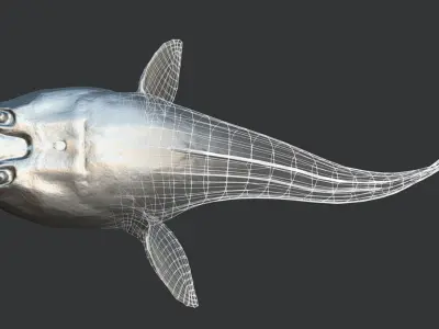 Stargazer Fish - Anglerfish Animated 3D model