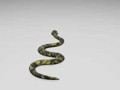 Snake Free low-poly 3D model