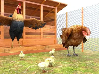 Chicken Coop  3D model