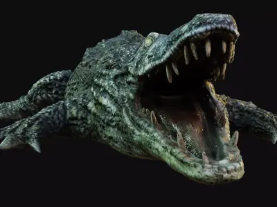 Crocodile alligator Low-poly 3D model