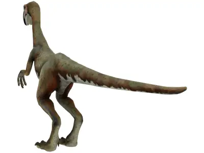 Oviraptor dinosaur Low-poly 3D model