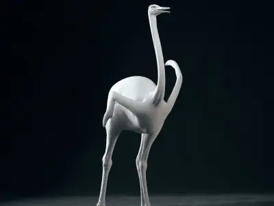 Realistic 3D model of Ostrich with RIG and texture pack 3D model