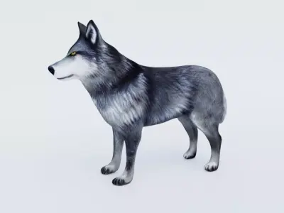 Wolf Animal Free 3D model