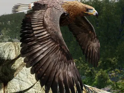 Golden Eagle - BLENDER 3D model