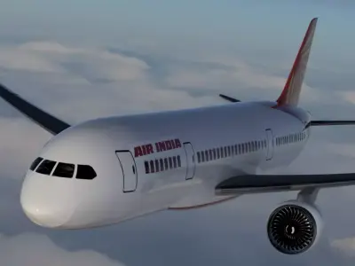 Boeing 787-8 Dreamliner aircraft model 3D print model