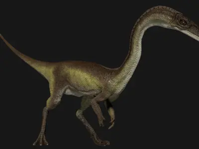 Coelophysis dinosaur Low-poly 3D model