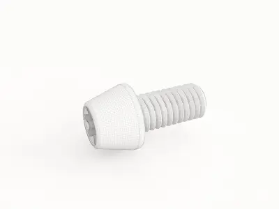 Screw 72 3D model