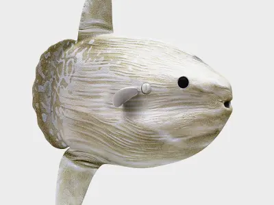 Ocean sun fish Low-poly 3D model