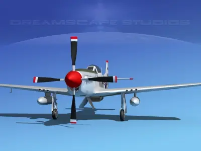 F-51D Mustang Ariz ANG 3D model