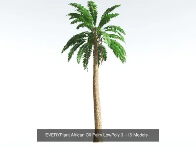 EVERYPlant African Oil Palm LowPoly Bundle --64 Models-- 3D Model Collection