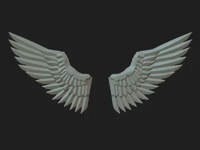 wings03 3D model
