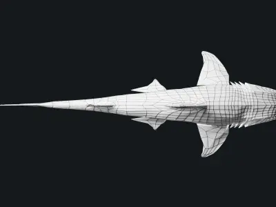 Bamboo Shark Base Mesh Low-poly 3D model