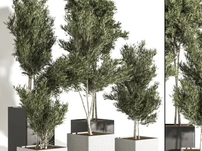 indoor plant vol 28 3D model