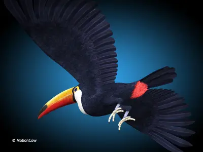 Toucan A - Flight 3D model
