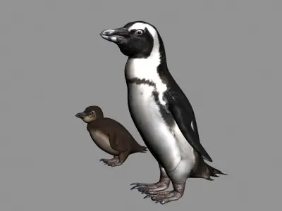 Penguins Rigged Low-poly 3D model