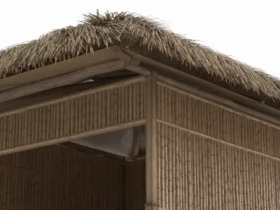 Enclosed Bamboo Hut with Thatch Roof Brown 3D model