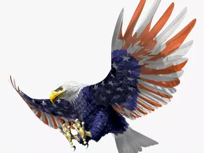 Bald Eagle 2 Stars And Stripes 3D model