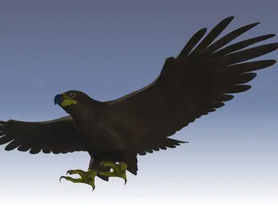 Low Poly Eagle model in flight Low-poly 3D model
