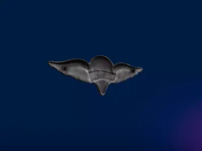 Paratrooper Rigger Wings Badge Low-poly 3D model