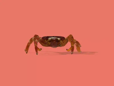 A Tick Low-poly 3D model