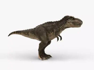 Tyrannosaurus Rex 2 RIGGED 3D model