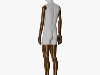 Sewing Male and Female Mannequin 3D model