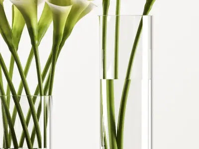 callalilly 3 calla lilies in glass vases 3D model
