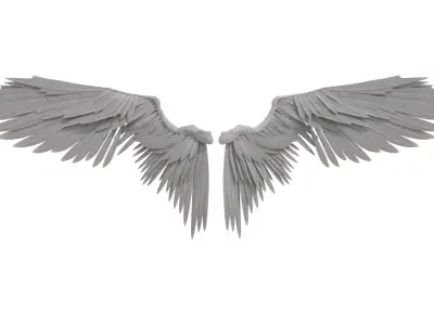 angel wings 3D model