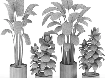 Indoor Plants in Ferm Living Bau Pot Large - Set017 3D model
