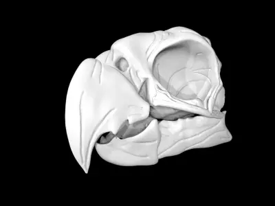 Parrot skull Low-poly 3D model