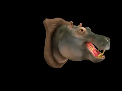Hippopotamus - Hippo - Head - PBR - Textured Low-poly 3D model