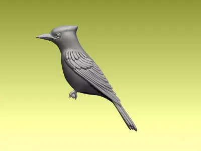 jay bird 3D model