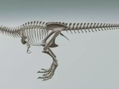 Realistic T-Rex Dinosaur Skeleton 3D Model Low-poly 3D model