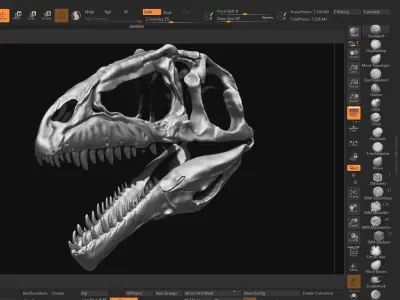 Giganotosaurus Skull Set Skeletons 3D model
