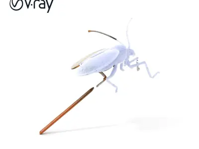 Insect Model Pack with PBR Textures Low-poly 3D model