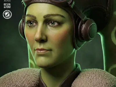 STAR WARS Hera Portrait Bust 3D print model