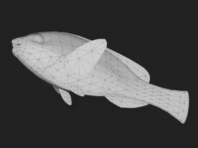 Wrasse Low-poly 3D model