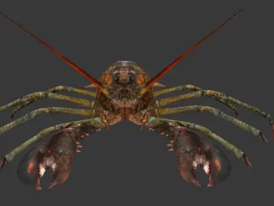 Homarus americanus   lobster Low-poly 3D model