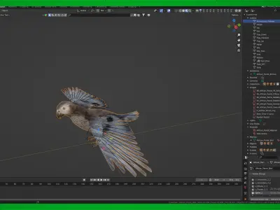 African Congo Grey Parrot Low-poly 3D model