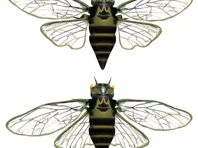 Cicada beetle flying Low-poly 3D model