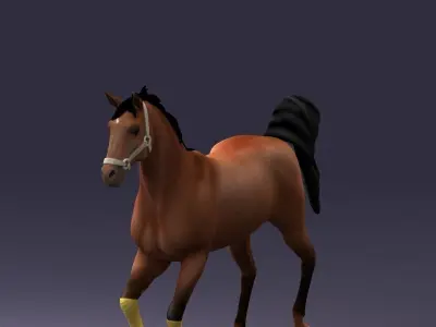 Running horse 0293 3D model