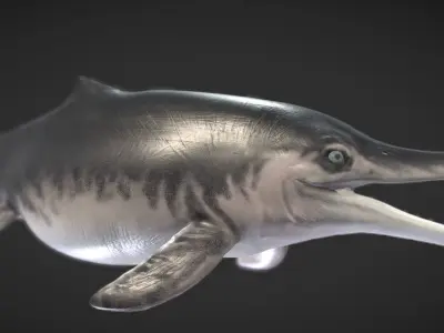 Temnodontosaurus Low-poly 3D model