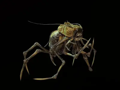 Land Bug 1 Low-poly 3D model