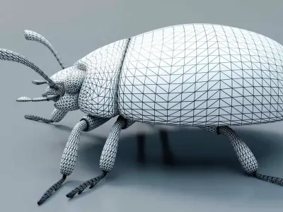 Ladybug stylized 3D model