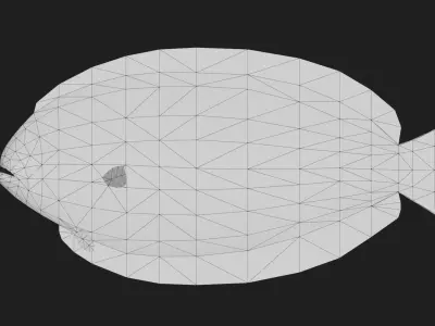 Flatfish Low-poly 3D model