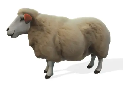 Woolly the Stylized Sheep 3D model