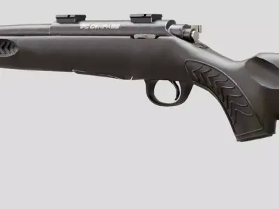 TC Compass Hunting Rifle Free low-poly 3D model