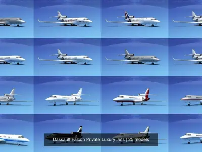 25 Dassault Falcon Private Luxury Jets 3D Model Collection