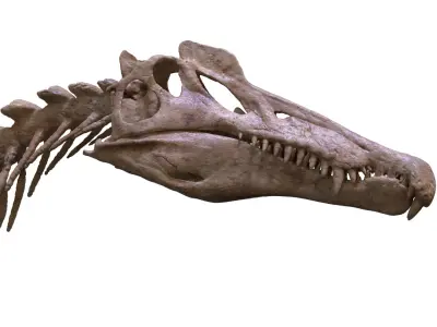 Spinosaurus skeleton scan 3D print model