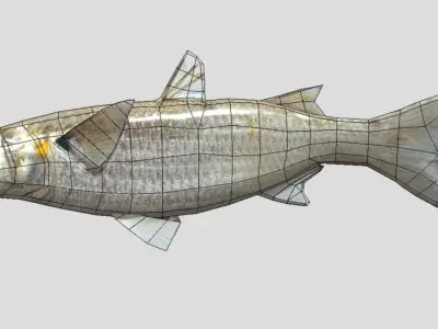 White Mullet Low-poly 3D model